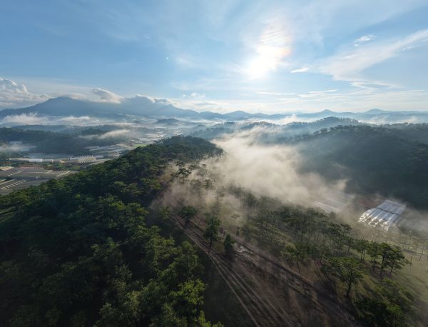 A breathtaking aerial view of mist-covered mountains and lush forests at sunrise in Vietnam, showcasing nature's serenity. Nature 4K