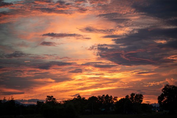 A breathtaking sunset with vivid colors painted across the sky, silhouetted trees in the foreground. Nature 4K