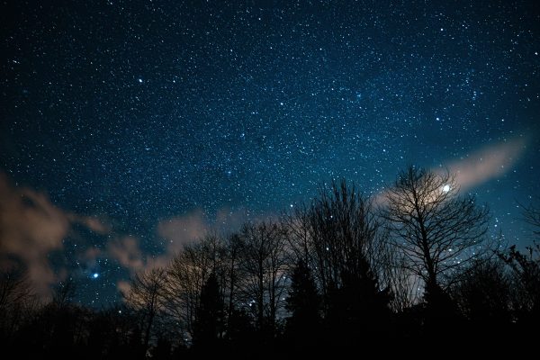 A breathtaking view of a star-filled night sky with silhouetted trees beneath. Espace 4K