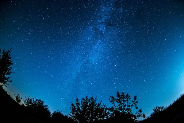 A breathtaking view of a starry night sky over a silhouetted forest, showcasing the Milky Way. Espace 4K