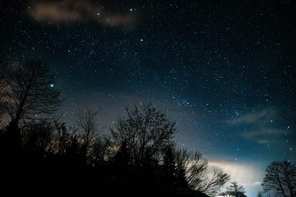 A breathtaking view of a starry night sky with tree silhouettes in the foreground. Espace 4K