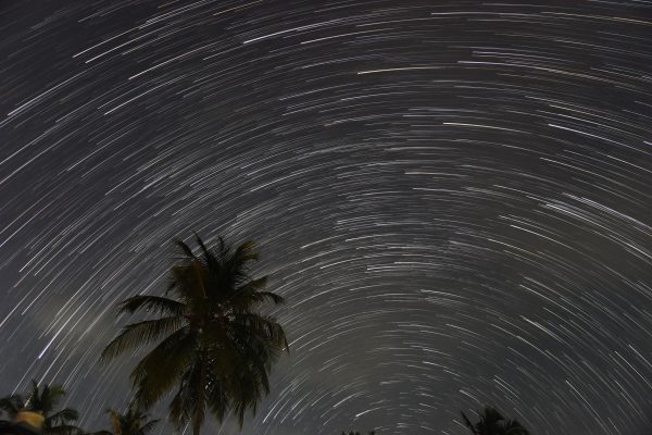 A breathtaking view of star trails swirling above palm trees in a night sky. Espace 4K