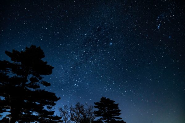 A breathtaking view of the star-filled night sky above silhouetted trees in Huangshan, China. Espace 4K