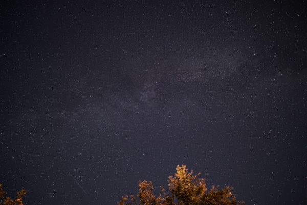 A breathtaking view of the star-studded night sky with the Milky Way above silhouetted tree tops. Espace 4K