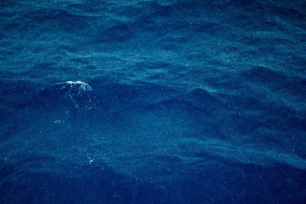 A captivating aerial view of calm, deep blue ocean waves, creating a serene and textured seascape. Nature 4K