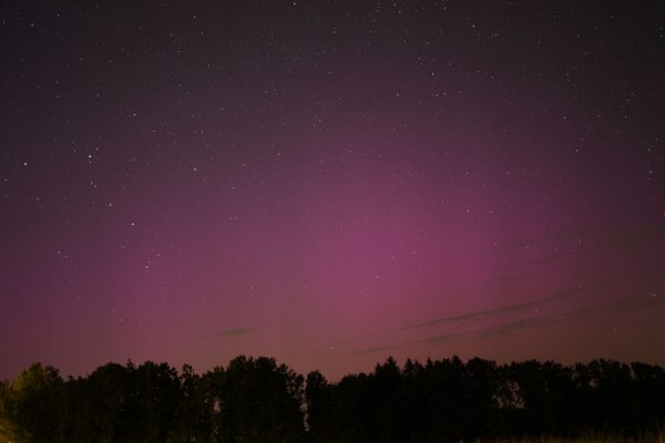 A captivating night sky with stars and purple aurora over a silhouette of trees. Espace 4K