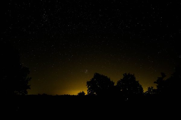 A captivating view of a star-filled sky with silhouetted trees on the horizon at early sunrise. Espace 4K
