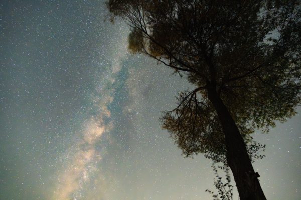 A captivating view of the Milky Way galaxy over a silhouetted tree in Pingliang, Gansu, China. Espace 4K