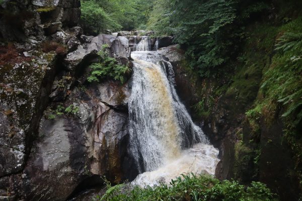 A captivating waterfall cascading through a rocky forest landscape, perfect for nature enthusiasts. Nature 4K