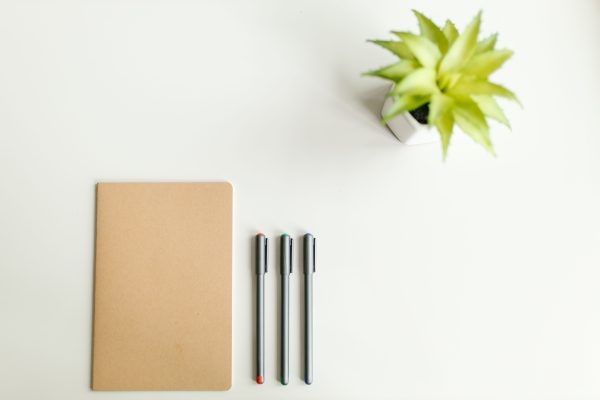 A clean and minimalist flat lay featuring a notebook, pens, and a potted plant on a white surface. Minimaliste 4K