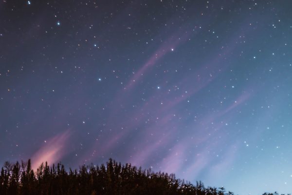 A clear night sky filled with stars and silhouetted trees in Vitebsk, Belarus. Espace 4K