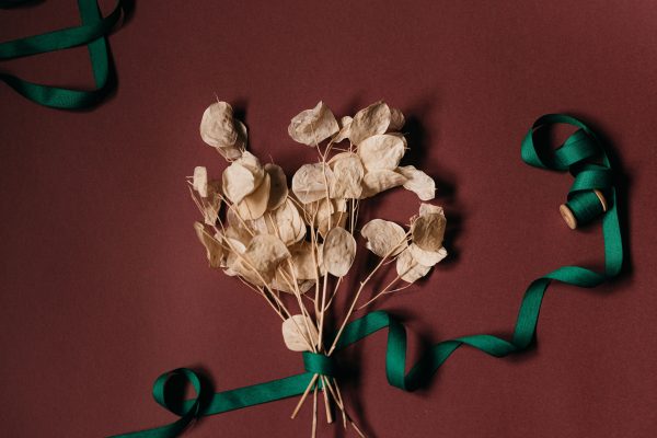 A creative still life with dried flowers and green ribbon on a reddish background. Minimaliste 4K