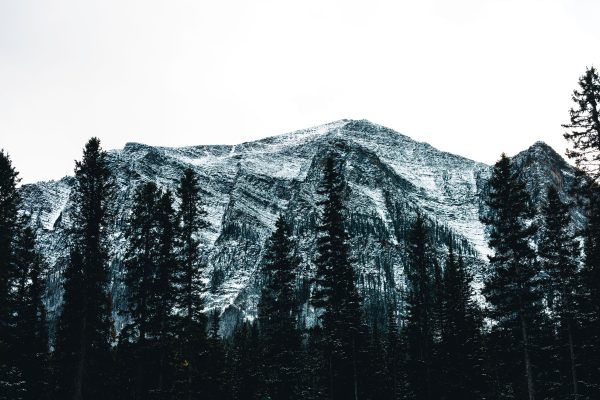 A dramatic winter landscape of snow-covered mountains amidst dense conifer forests in Kootenay, BC. Nature 4K