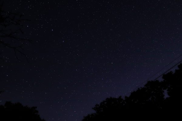 A mesmerizing starry night sky with silhouetted trees framing the view. Espace 4K