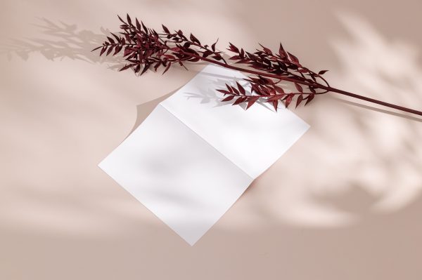 A minimalist still life featuring a blank card and a red leaf on a beige background. Minimaliste 4K