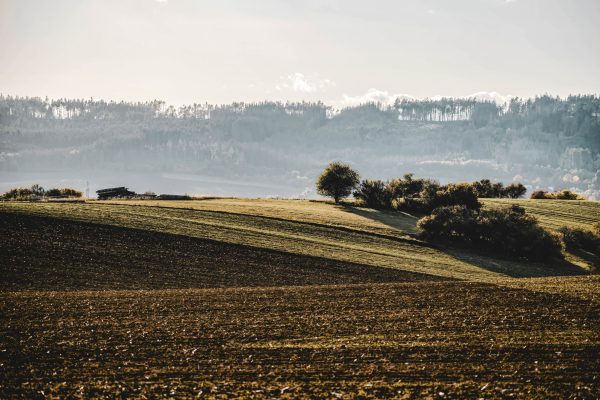 A peaceful countryside view showcasing rolling hills with trees during daytime. Nature 4K