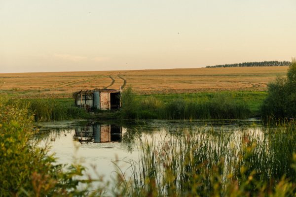 A peaceful rural scene with a shack by a lake reflecting fields, grass, and trees in summer. Nature 4K