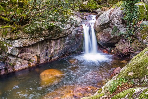 A peaceful waterfall cascading between mossy rocks surrounded by lush greenery. Nature 4K