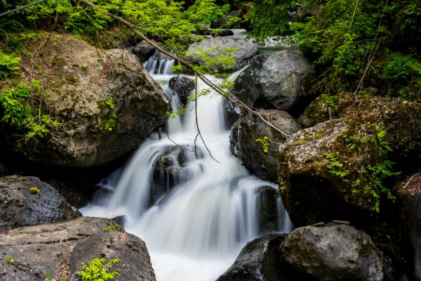 A peaceful waterfall flows through mossy rocks in a lush green forest setting. Nature 4K