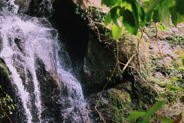 A picturesque waterfall cascades over mossy rocks surrounded by lush foliage. Nature 4K