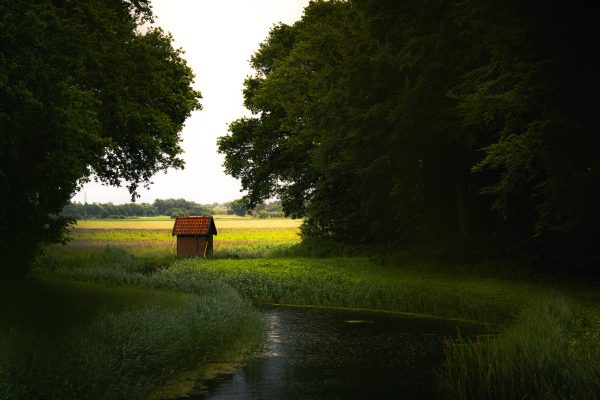 A quaint cottage by a serene river and lush trees in Denmark. Nature 4K