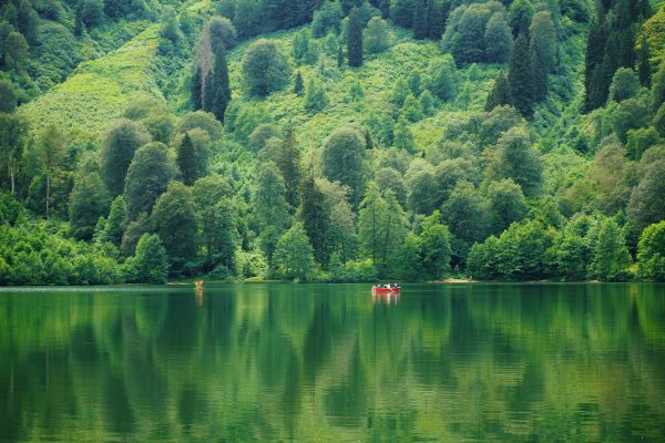 A red canoe reflects on a peaceful lake surrounded by lush forests in Artvin, Türkiye. Nature 4K