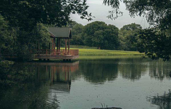 A serene lakeside gazebo surrounded by lush trees and reflections, capturing calm nature. Nature 4K