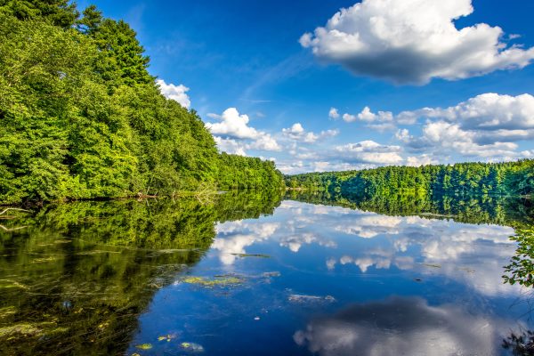 A serene landscape of a lake with clear reflections and lush greenery in Southborough, Massachusetts. Nature 4K