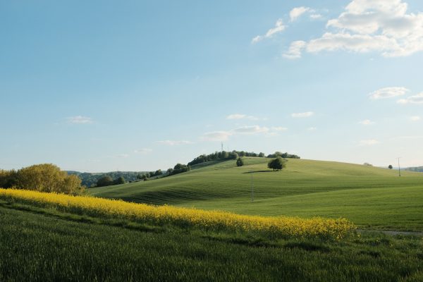 A serene landscape of rolling green hills under a bright blue sky with scattered clouds. Nature 4K