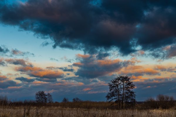 A serene landscape with dark storm clouds over a grassy field at twilight. Nature 4K