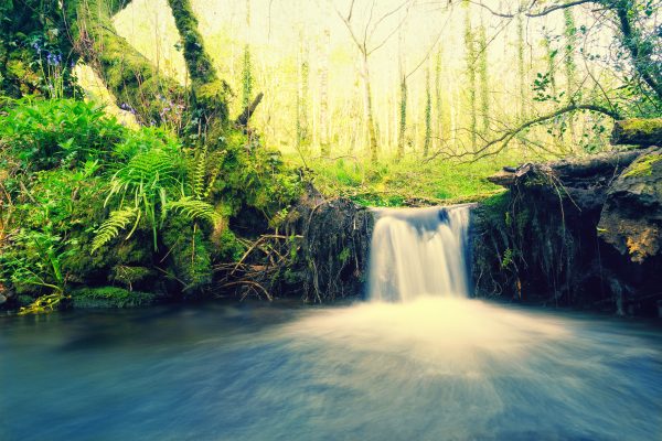 A serene small waterfall cascades in a tranquil forest setting surrounded by lush greenery. Nature 4K