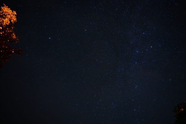 A serene star-filled night sky with tree silhouettes and minimal light pollution. Espace 4K