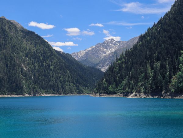 A serene view of a mountain lake surrounded by dense forests under a clear blue sky. Nature 4K