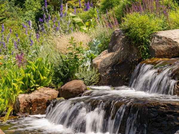 A serene waterfall surrounded by lush greenery and vibrant flowers in Yonkers, New York. Nature 4K