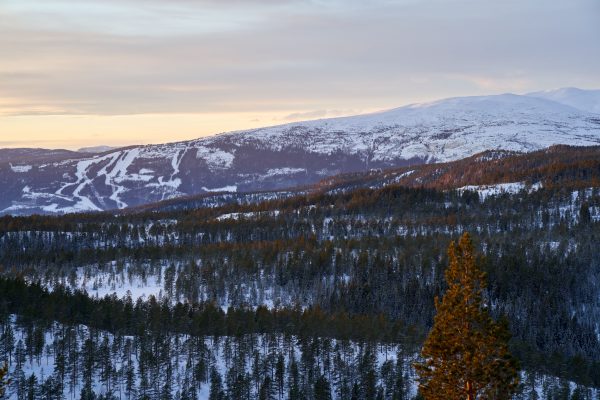 A serene winter landscape with snowy mountains at dawn, showcasing pristine wilderness and tranquil beauty. Nature 4K