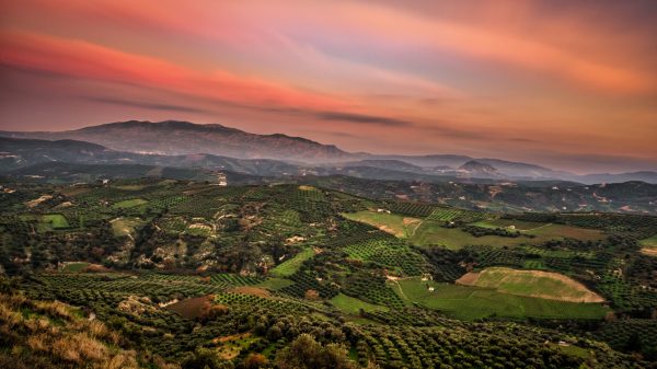 A stunning aerial view of a lush valley with mountains in the distance during a vibrant sunset. Nature 4K