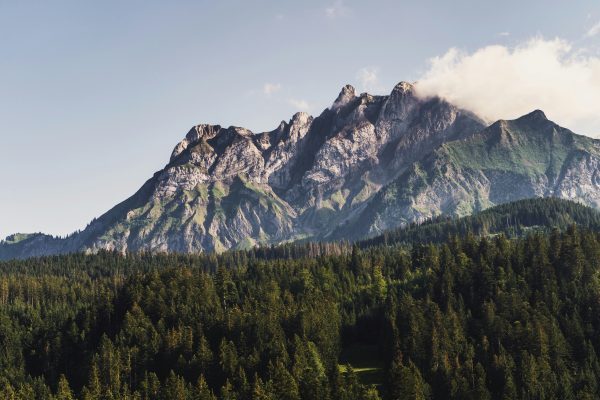A stunning mountain view with lush green forest at the base, under a clear sky. Nature 4K