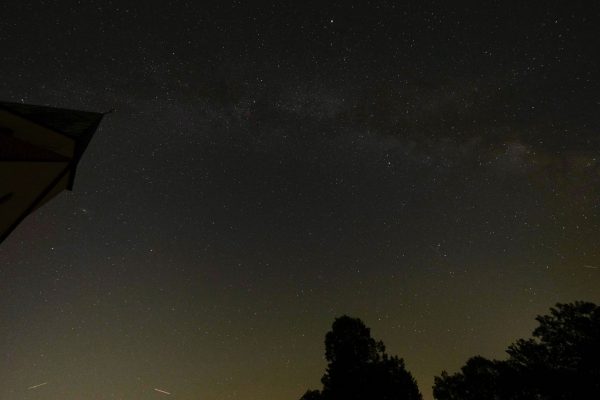 A stunning view of the starry night sky showcasing the Milky Way above silhouettes of trees. Espace 4K