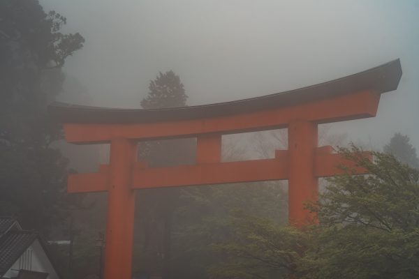 A torii gate stands amidst misty weather and lush greenery in Hakone, Japan. Anime 4K