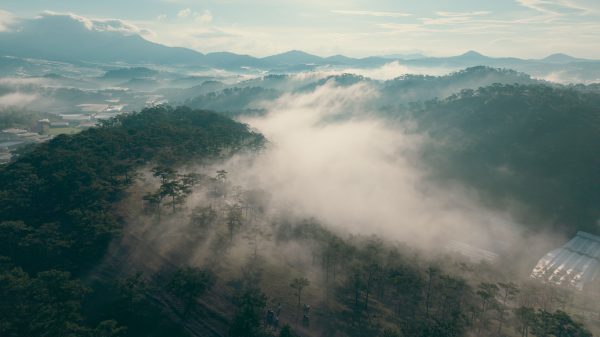 A tranquil aerial view of a mist-covered forest in a mountainous region during the day. Nature 4K