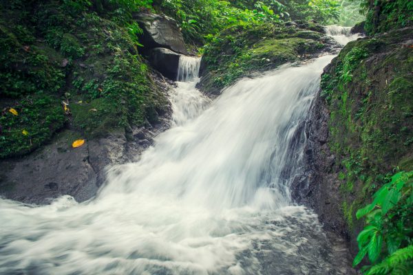 A tranquil waterfall cascades over mossy rocks surrounded by dense green forest. Nature 4K