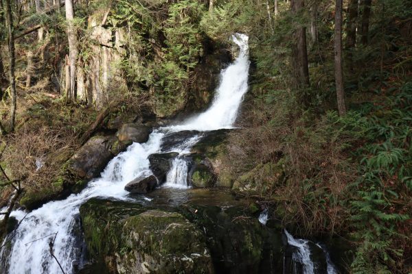 A tranquil waterfall cascading over mossy rocks surrounded by lush forest. Nature 4K