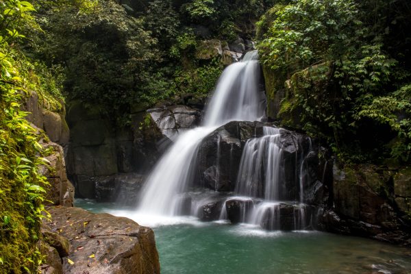 A tranquil waterfall cascading over rocks in a dense, green forest setting. Nature 4K