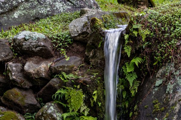 A tranquil waterfall flowing over rocks surrounded by greenery in Nova Friburgo, Brazil. Nature 4K
