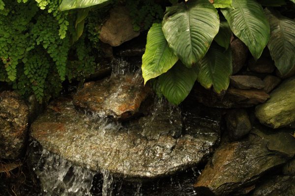 A tranquil waterfall flowing over rocks surrounded by lush green leaves and nature. Nature 4K