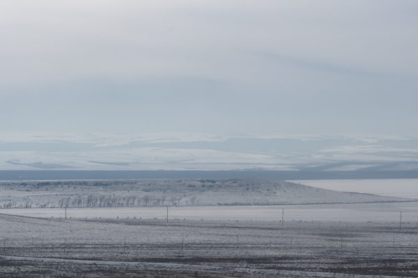A tranquil winter scene of a foggy field with distant hills under a soft sky. Nature 4K