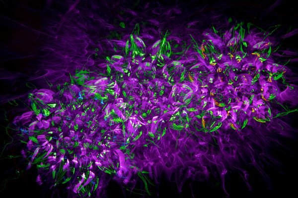 Abstract digital art featuring vibrant purple and green patterns on a dark background, showcasing modern design. Abstrait 4K