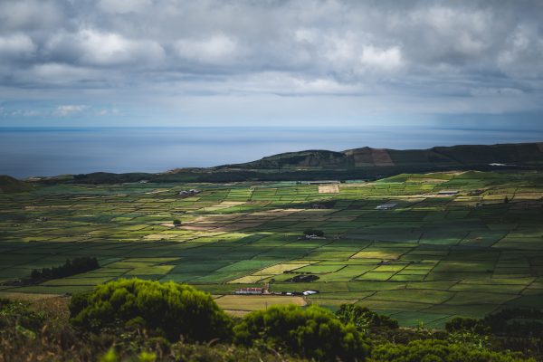 Aerial photo showcasing lush green patchwork fields extending to the ocean under a cloudy sky. Nature 4K