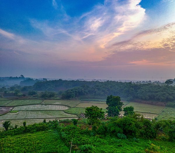 Aerial view of lush farmland and forest in Rumpin, West Java during a vibrant sunset. Nature 4K