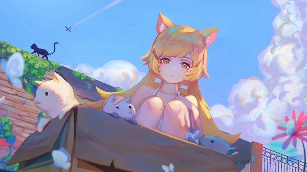 Anime, anime girls, cat girl Anime Girls 4K